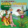 51: Warum mag der Distelfink Disteln? - Die Kleine Schnecke Monika Häuschen