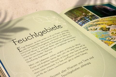 InsideView 7