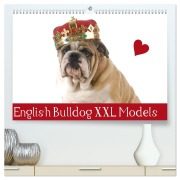 Cover-Bild zum Titel 'English Bulldog XXL Models (hochwertiger Premium Wandkalender 2026 DIN A2 quer), Kunstdruck in Hochglanz' von 'Elisabeth Stanzer'