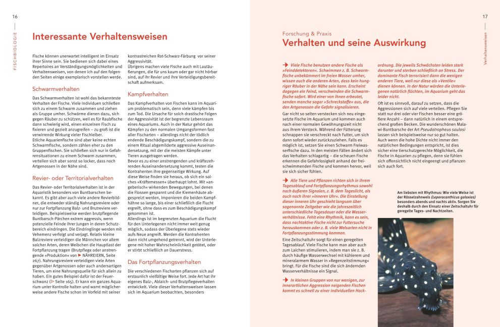 InsideView 3