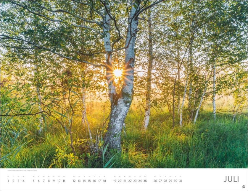 InsideView 7