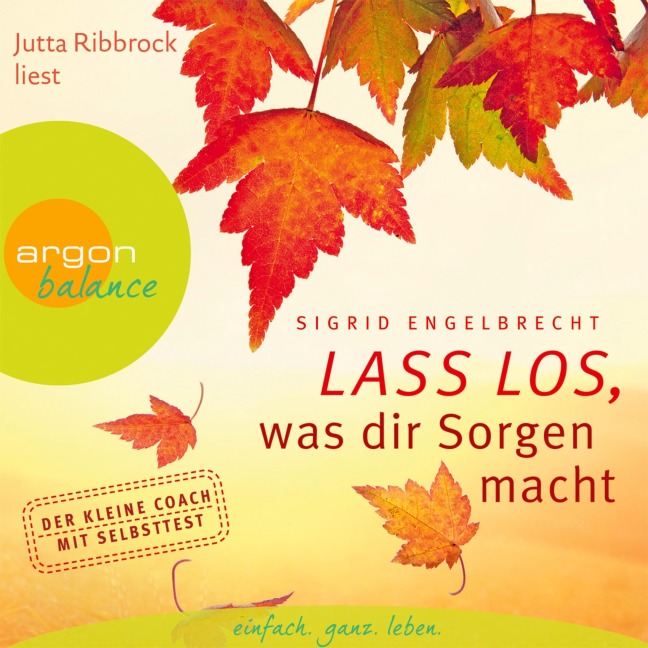 Lass los, was dir Sorgen macht - Sigrid Engelbrecht