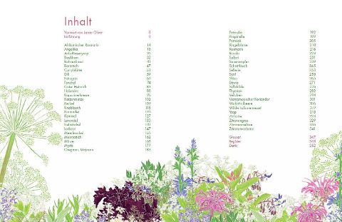 InsideView 7