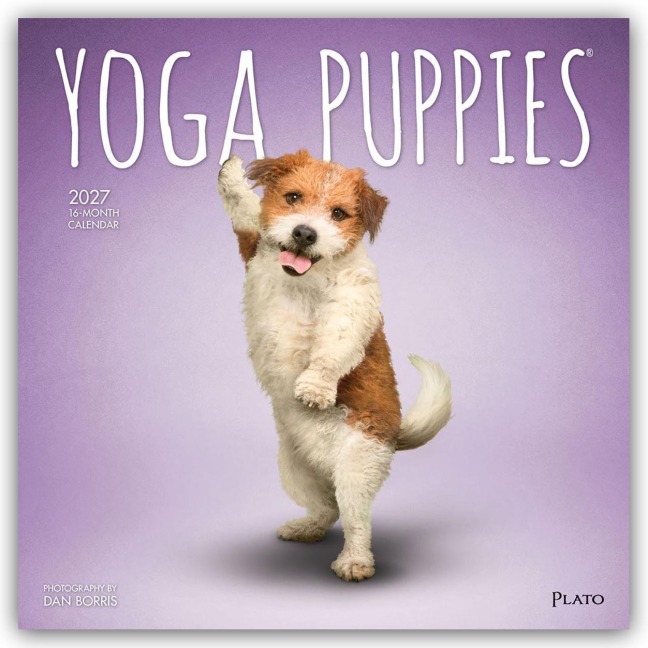 Yoga Puppies - Welpen Yoga 2027 - 16-Monatskalender - Browntrout Publishers