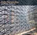 Pulse Perspective - Collard-Neven/Grimaldi/Pion/Sicart