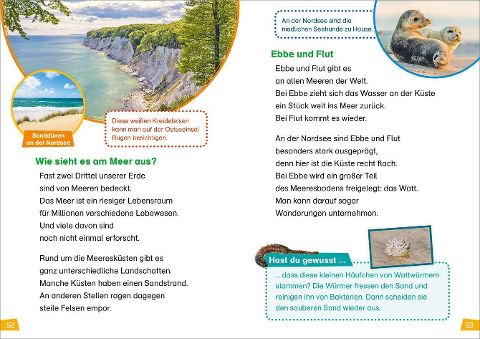 InsideView 6