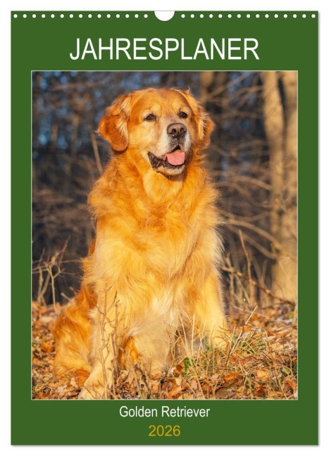 Jahresplaner Golden Retriever (Wandkalender 2026 DIN A3 hoch), CALVENDO Monatskalender - Sigrid Starick