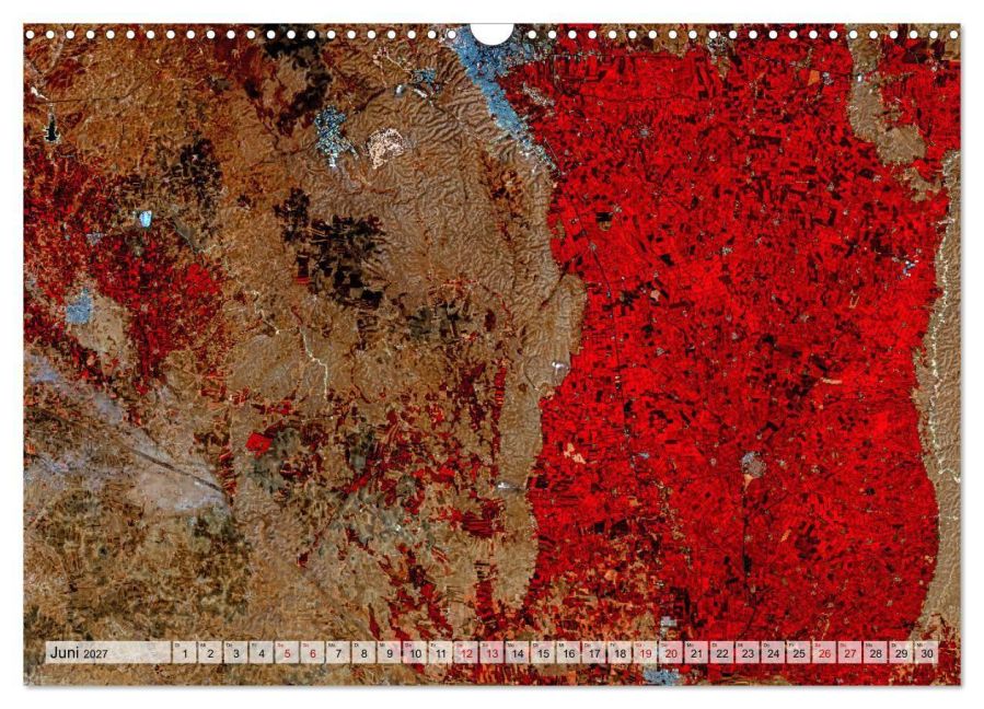 InsideView 11