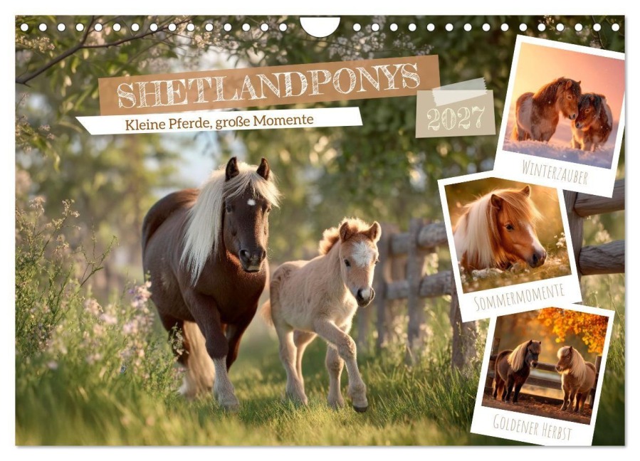 Shetlandponys - Kleine Pferde, große Momente (Wandkalender 2027 DIN A4 quer), CALVENDO Monatskalender - Melanie Viola