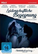 Cover-Bild zum Titel 'Leidenschaftliche Begegnung' von 'Diane Kurys'