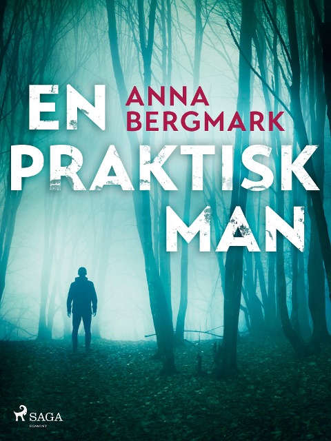 En praktisk man - Anna Bergmark