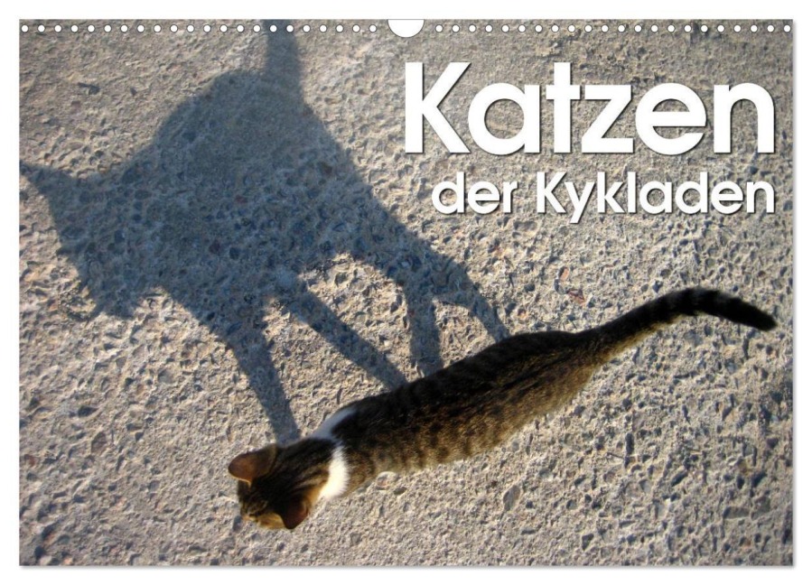 Katzen der Kykladen (Wandkalender 2026 DIN A3 quer), CALVENDO Monatskalender - Silvia Kraemer