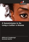 Cover-Bild zum Titel 'Il femminismo in So Long a Letter e Anowa' von 'Millicent Yengkangyi, Braimah Balica'