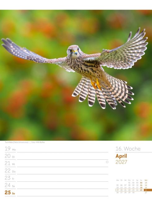 InsideView 20