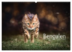 Cover-Bild zum Titel 'Bengalen Outdoor und Action (Wandkalender 2026 DIN A2 quer), CALVENDO Monatskalender' von 'Andreas Krappweis'