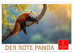 Cover-Bild zum Titel 'Der Rote Panda (Wandkalender 2026 DIN A2 quer), CALVENDO Monatskalender' von 'Peter Roder'