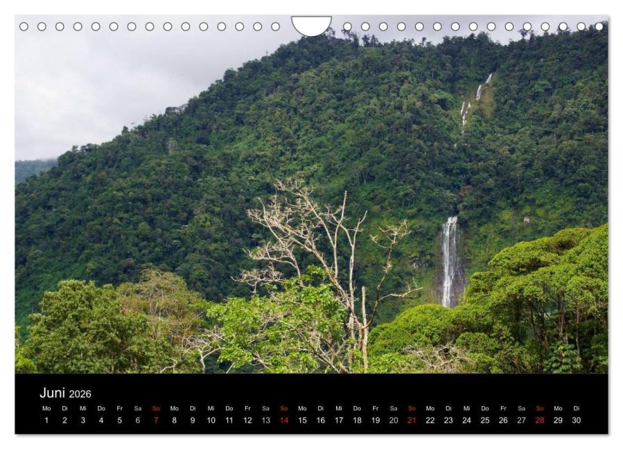 InsideView 11