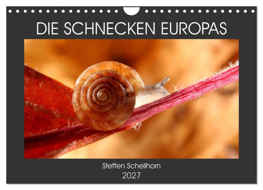 DIE SCHNECKEN EUROPAS (Wandkalender 2027 DIN A4 quer), CALVENDO Monatskalender - Steffen Schellhorn