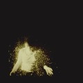 Cover-Bild zum Titel 'My Love Is Cool' von 'Wolf Alice'