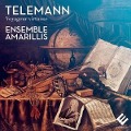 Cover-Bild zum Titel 'Telemann/Voyageur Virtuose' von 'Amarillis & H. Gaillard'