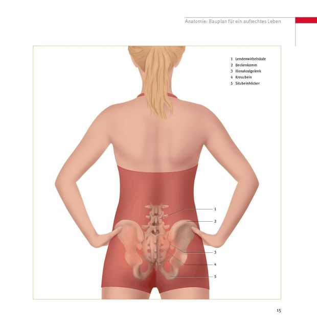 InsideView 14