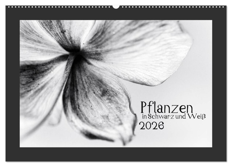 Pflanzen in Schwarz und Weiß (Wandkalender 2026 DIN A2 quer), CALVENDO Monatskalender - Kirsten Karius