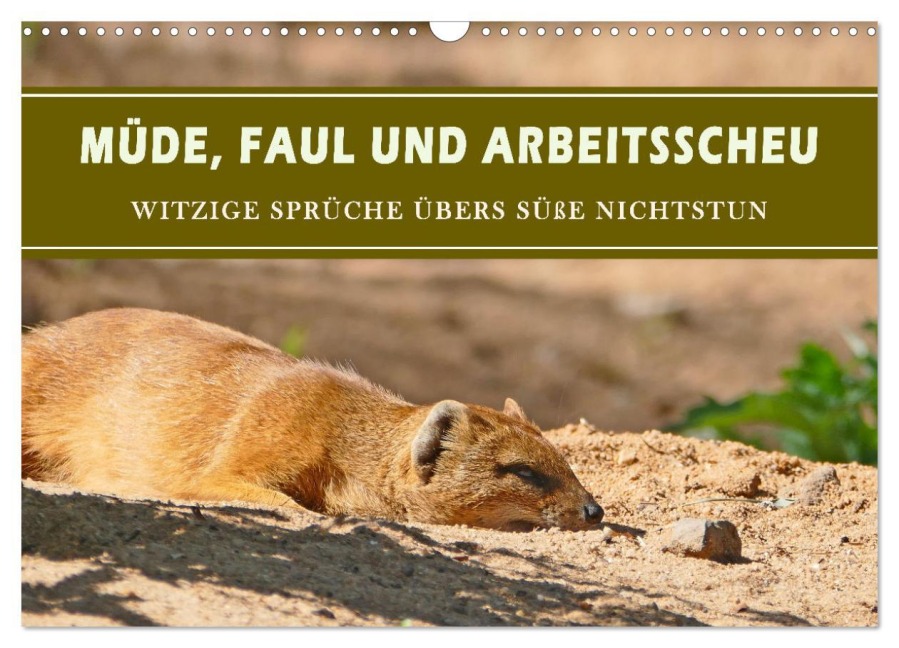 Müde, faul und arbeitsscheu (Wandkalender 2026 DIN A3 quer), CALVENDO Monatskalender - Christine B-B Müller
