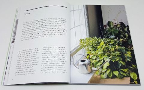 InsideView 6