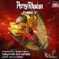 Cover-Bild zum Titel 'Perry Rhodan Neo 185: Labyrinth des Geistes' von 'Rüdiger Schäfer, Michelle Stern'