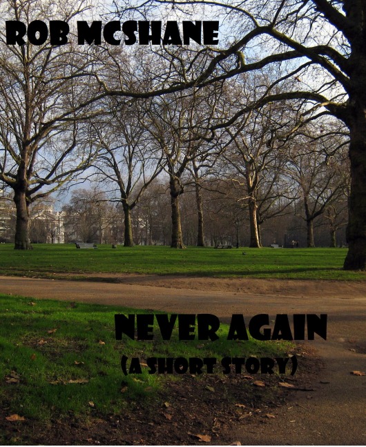 Never Again (Short Love Stories) - Rob McShane