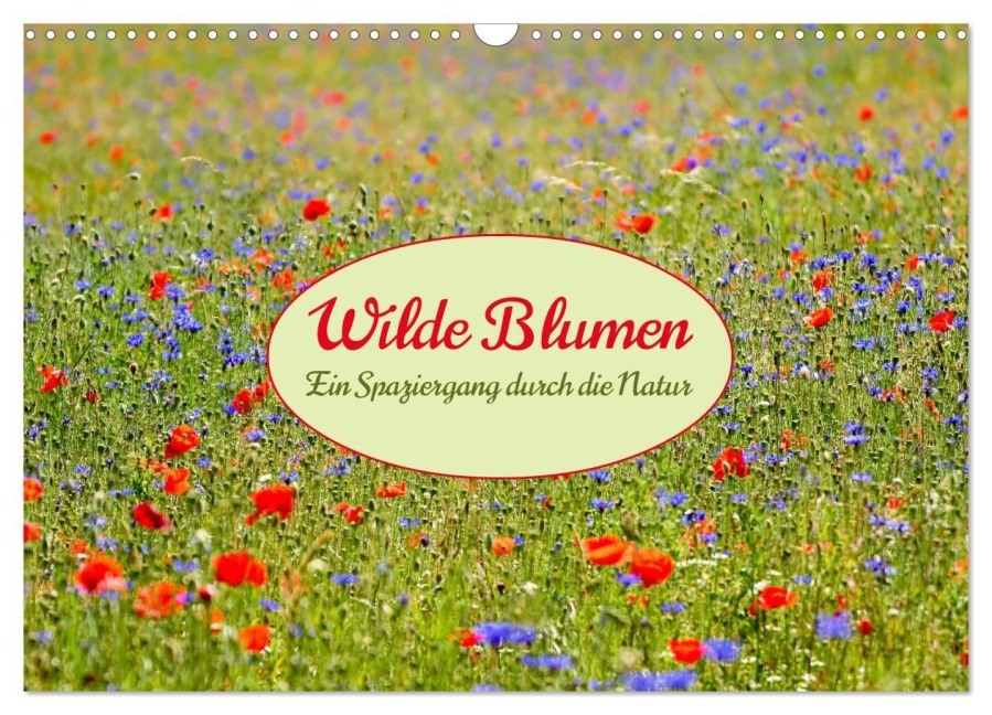 Wilde Blumen - ein Spaziergang durch die Natur (Wandkalender 2026 DIN A3 quer), CALVENDO Monatskalender - 