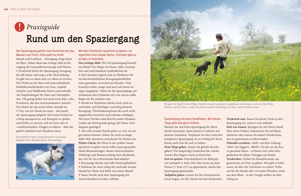 InsideView 7