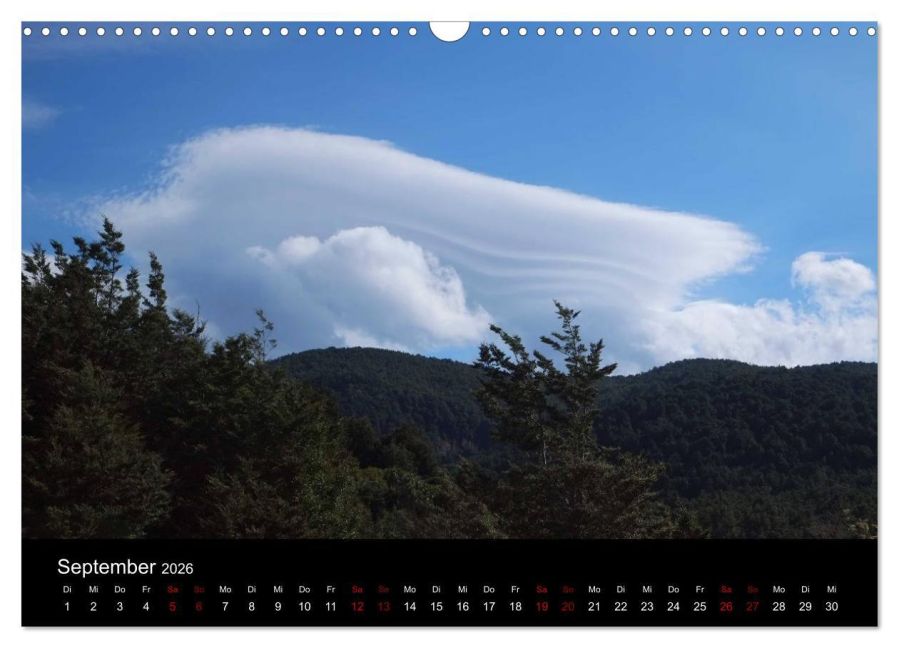 InsideView 14