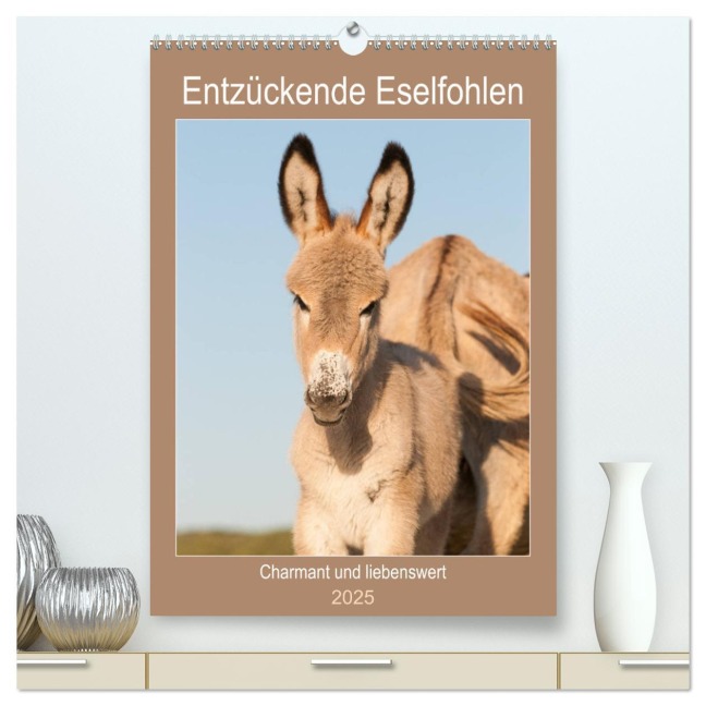 Entzückende Esel - Charmant und liebenswert (hochwertiger Premium Wandkalender 2025 DIN A2 hoch), Kunstdruck in Hochglanz - Meike Bölts