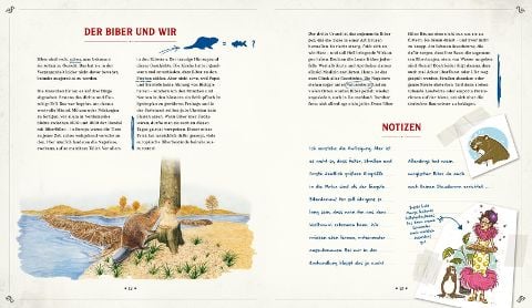 InsideView 6