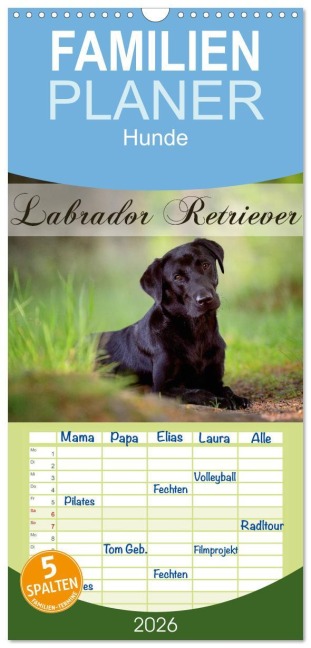 Familienplaner 2026 - Labrador Retriever mit 5 Spalten (Wandkalender, 21 x 45 cm) CALVENDO - Nicole Noack