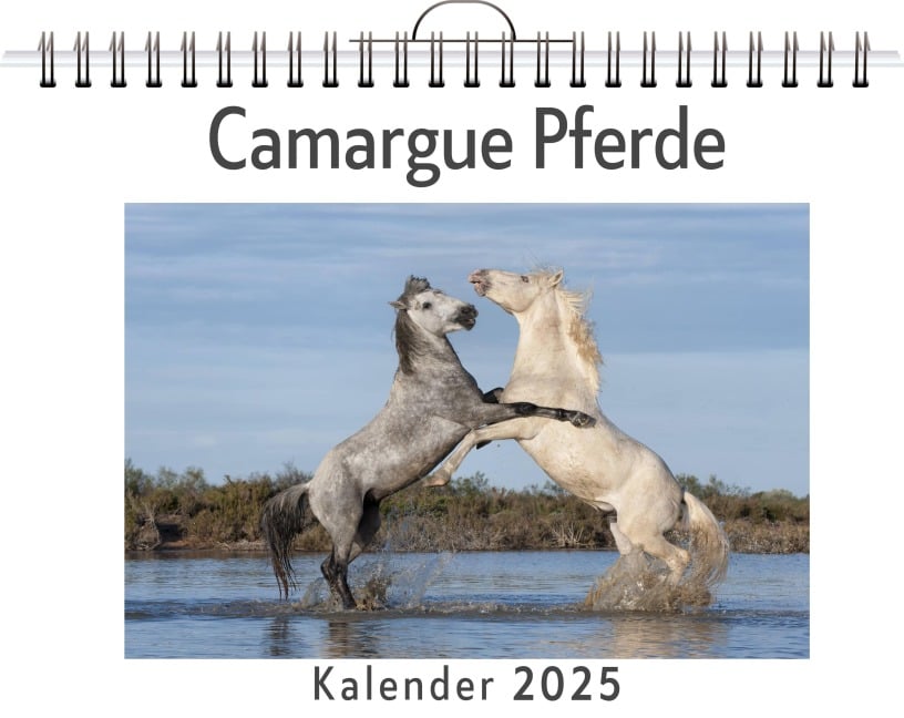 Camargue Pferde - Lina Koch