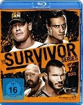 Survivor Series 2013 - John/Del Rio Cena