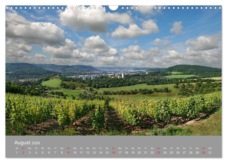 InsideView 13