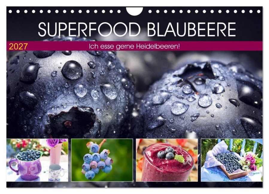 Superfood Blaubeere. Ich esse gerne Heidelbeeren! (Wandkalender 2027 DIN A4 quer), CALVENDO Monatskalender - Rose Hurley