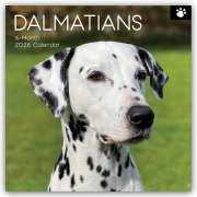 Dalmatians - Dalmatiner 2026 - 16-Monatskalender - Gifted Stationery Co. Ltd