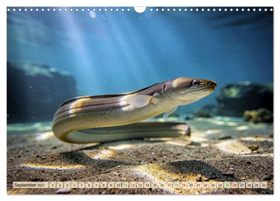 InsideView 14