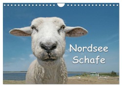 Cover-Bild zum Titel 'Nordsee Schafe (Wandkalender 2026 DIN A4 quer), CALVENDO Monatskalender' von 'Andrea Wilken'