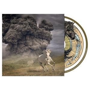 Year Of The Dark Horse - The White Buffalo