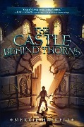 The Castle Behind Thorns - Merrie Haskell