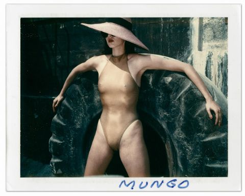 InsideView 10