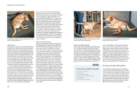 InsideView 3