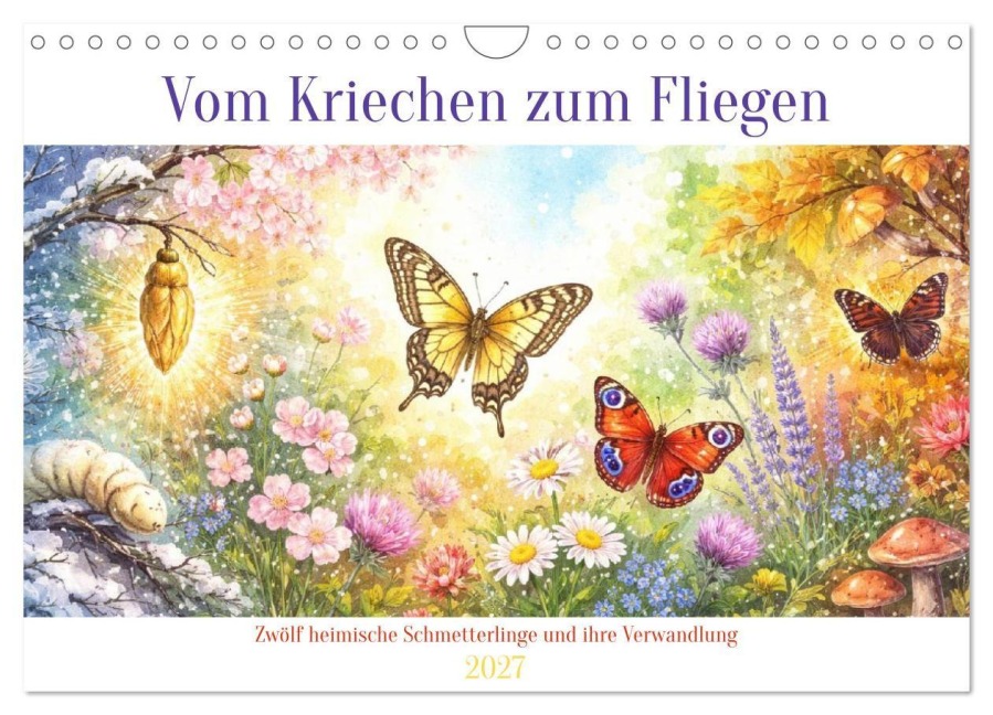 Vom Kriechen zum Fliegen (Wandkalender 2027 DIN A4 quer), CALVENDO Monatskalender - Liam Blue