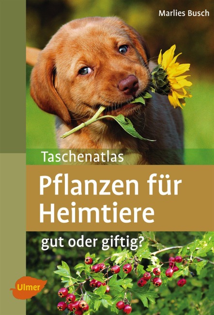 Taschenatlas Pflanzen für Heimtiere - Marlies Busch
