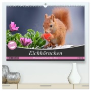 Cover-Bild zum Titel 'Eichhörnchen Momentaufnahmen fürs Herz (hochwertiger Premium Wandkalender 2026 DIN A2 quer), Kunstdruck in Hochglanz' von 'Tine Meier'